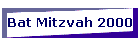 Bat Mitzvah 2000