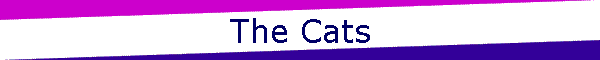 The Cats