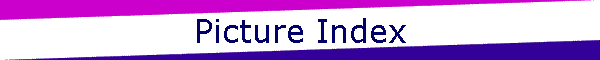 Picture Index