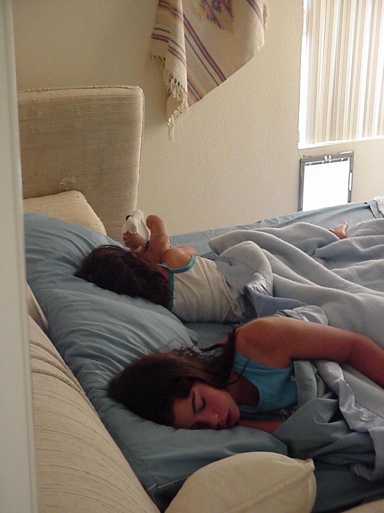 Sunday Morning.  Look who's sleeping! (mvc-021s.jpg)